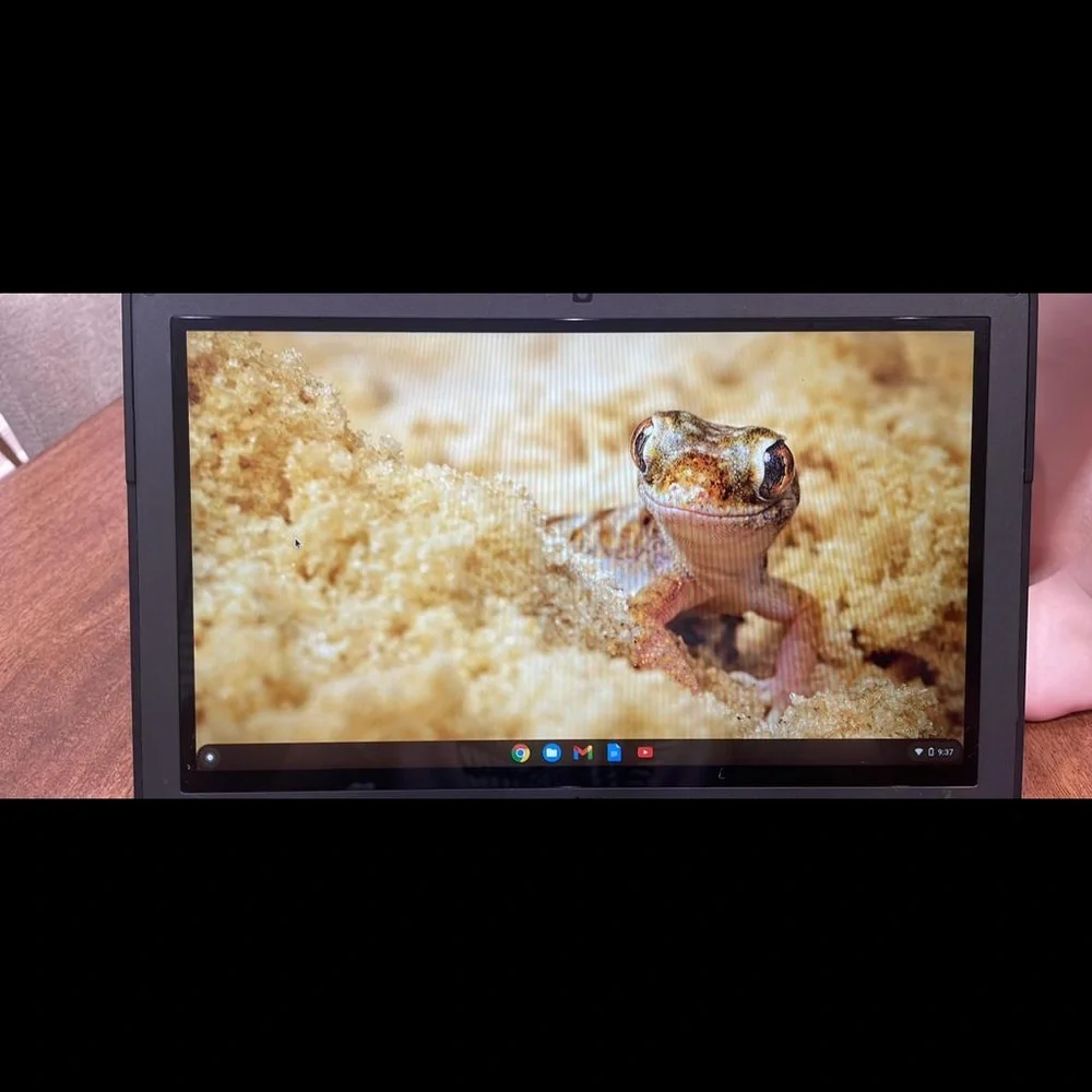 Dell chrome touch screen used with charger